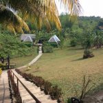 The camping grounds